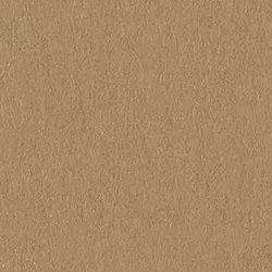 Beige cardboard (GR-C004)